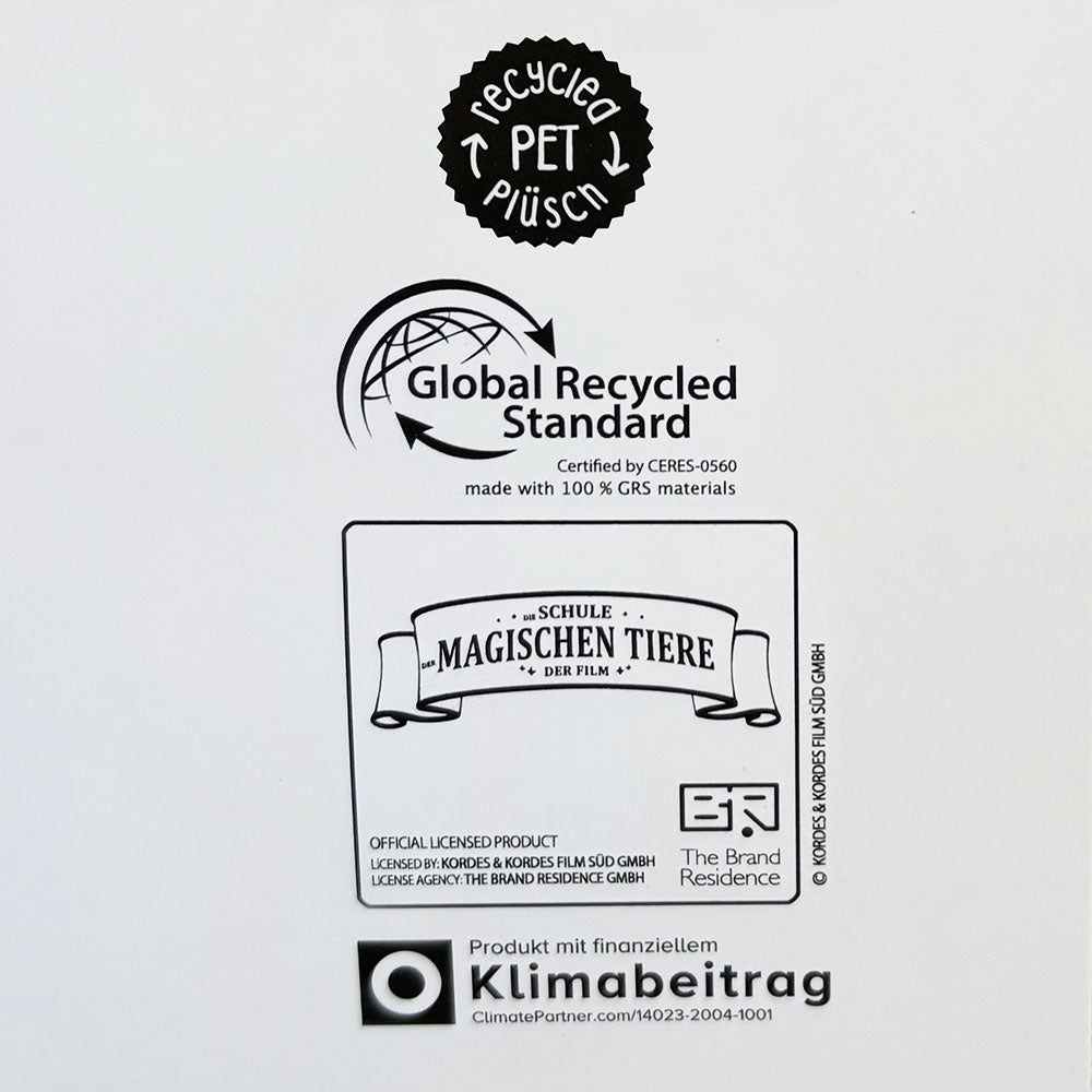 Die Schule der magischen Tiere - Chamäleon Caspar