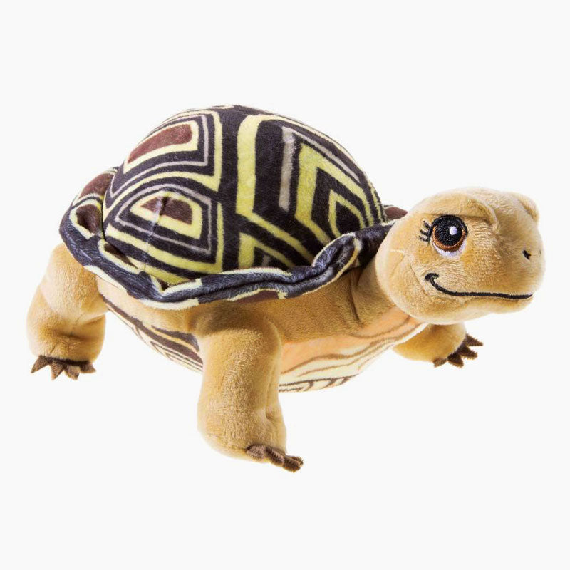 Die Schule der magischen Tiere - Schildkröte Henrietta